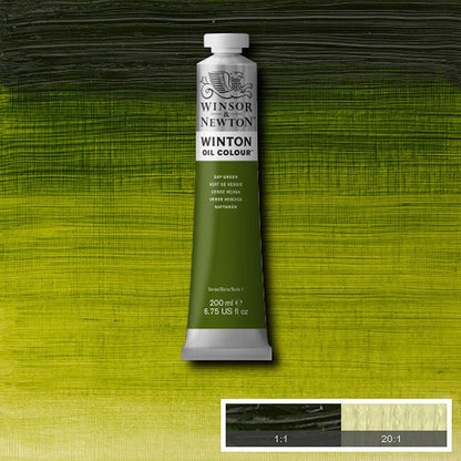 Winsor & Newton Winton Yağlı Boya 200ml Sap Green 599
