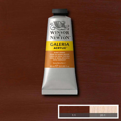 Winsor & Newton Galeria Acrylic 60ml Burnt Sienna 074