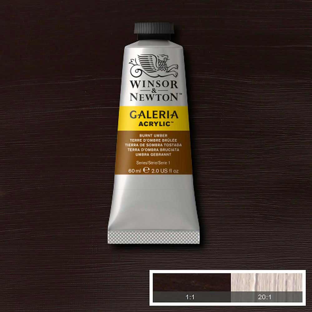 Winsor & Newton Galeria Acrylic 60ml Burnt Umber 76