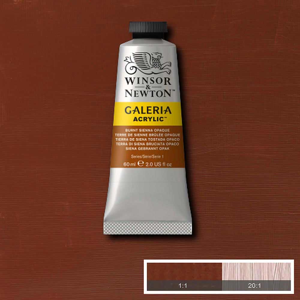 Winsor & Newton Galeria Acrylic 60ml Burnt Sienna Opaque 077