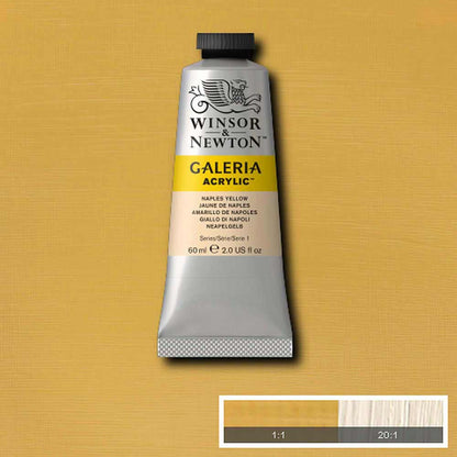Winsor & Newton Galeria Acrylic 60ml Naples Yellow 422