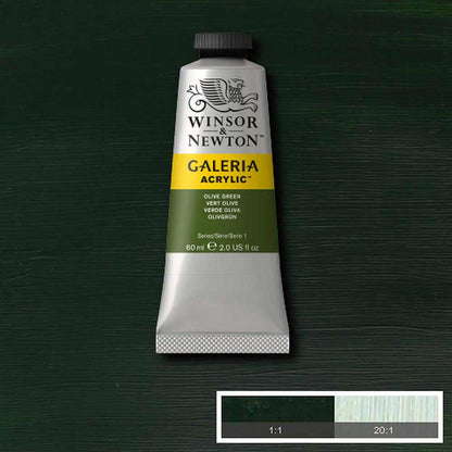 Winsor & Newton Galeria Acrylic 60ml Olive Green 447