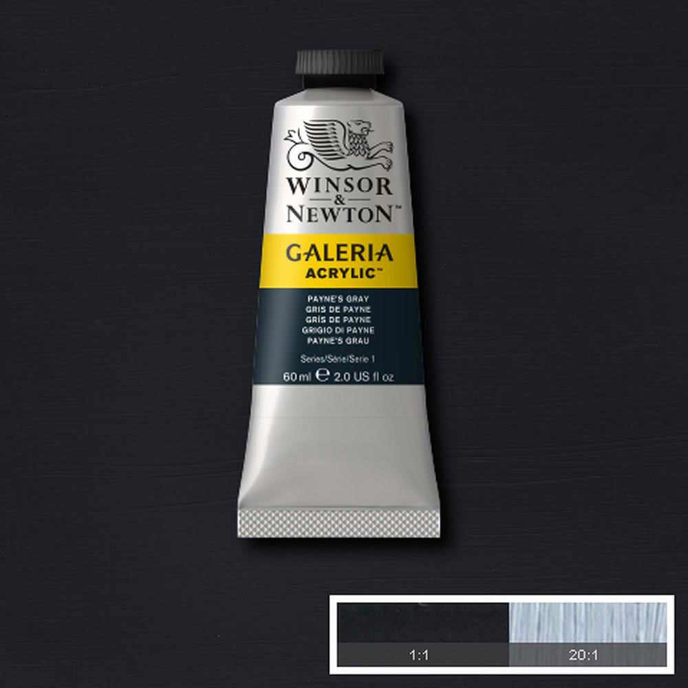 Winsor & Newton Galeria Acrylic 60ml Payne’s Gray 465