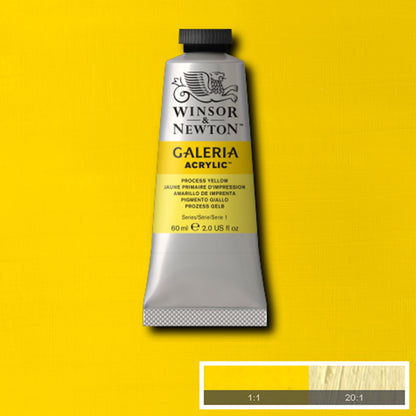 Winsor & Newton Galeria Acrylic 60ml Process Yellow 537