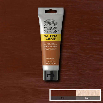 Winsor & Newton Galeria Acrylic 120ml Burnt Sienna 074
