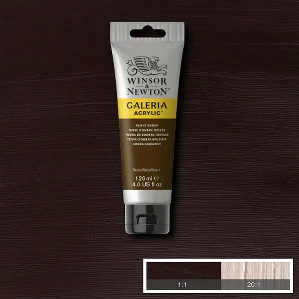 Winsor & Newton Galeria Acrylic 120ml Burnt Umber 76