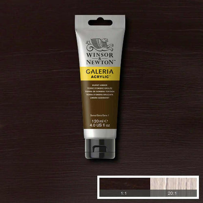 Winsor & Newton Galeria Acrylic 120ml Burnt Umber 76