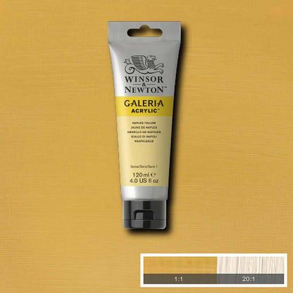 Winsor & Newton Galeria Acrylic 120ml Naples Yellow 422