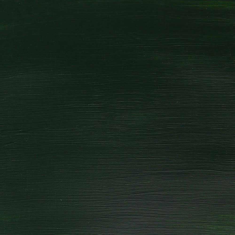 Winsor & Newton Galeria Acrylic 120ml Olive Green 447