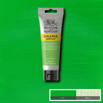 Winsor & Newton Galeria Acrylic 120ml Permanent Green Light 483