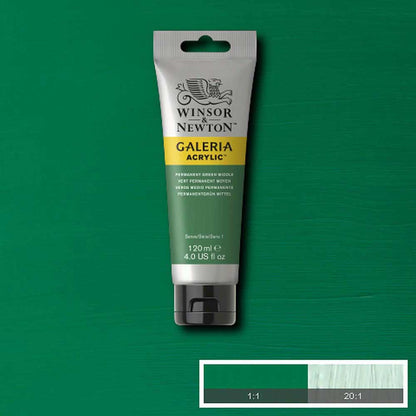 Winsor & Newton Galeria Acrylic 120ml Permanent Green Middle 484