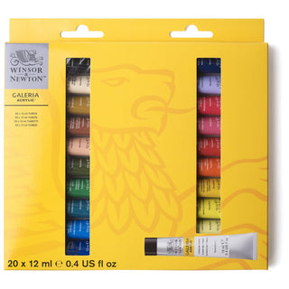 Winsor & Newton Galeria Akrilik Boya Access Boya Seti 20x12ml Tüp