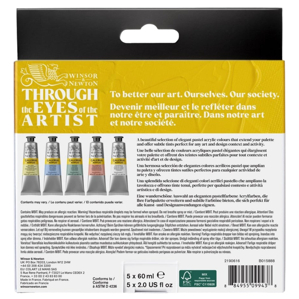 Winsor & Newton Galeria Akrilik Boya Pastel Set (5x60ml)