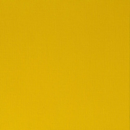 Winsor & Newton Professional Acrylic 60ml Azo Yellow Medium 019 S.2