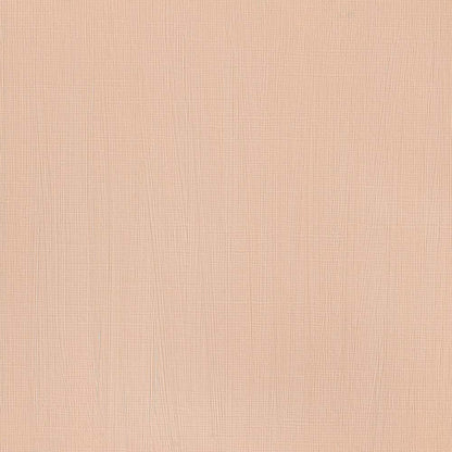 Winsor & Newton Professional Acrylic 60ml Burnt Sienna 074 S.1