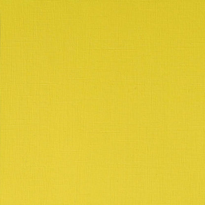 Winsor & Newton Professional Acrylic 60ml Cadmium Lemon 086 S.3