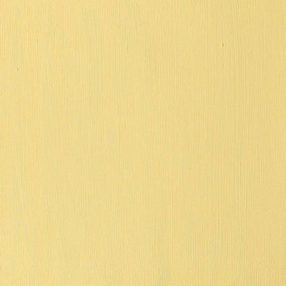 Winsor & Newton Professional Acrylic 60ml Cadmium Yellow Deep 111 S.3