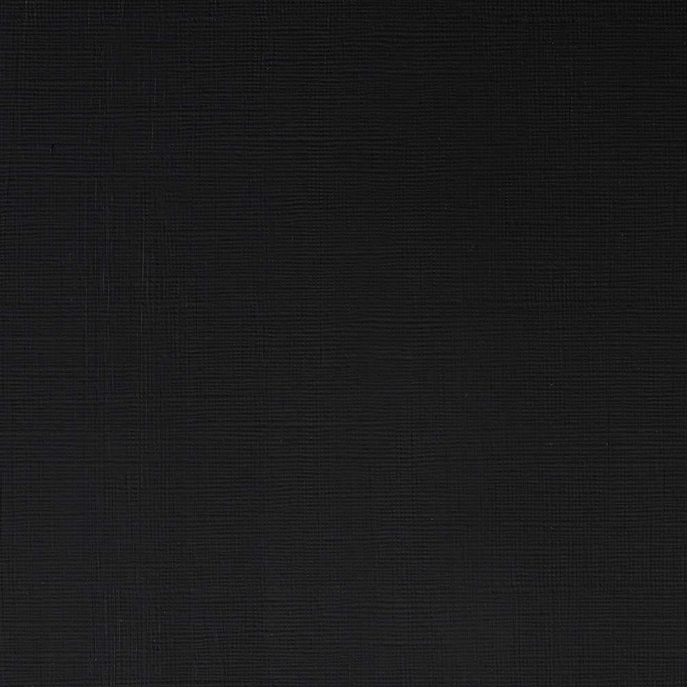 Winsor & Newton Professional Acrylic 60ml Ivory Black 331 S.1