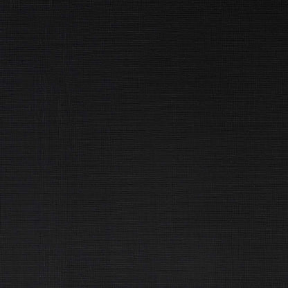 Winsor & Newton Professional Acrylic 60ml Ivory Black 331 S.1