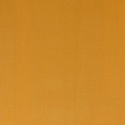 Winsor & Newton Professional Acrylic 60ml Naples Yellow Deep 425 S.2