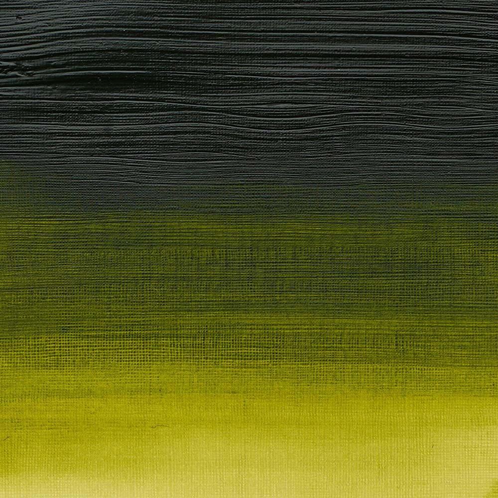 Winsor & Newton Professional Acrylic 60ml Permanent Sap Green 503 S.3