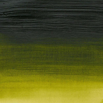 Winsor & Newton Professional Acrylic 60ml Permanent Sap Green 503 S.3