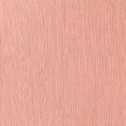 Winsor & Newton Professional Acrylic 60ml Pyrrole Orange 519 S.4