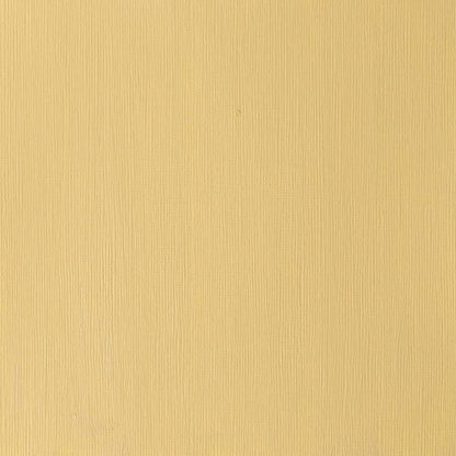 Winsor & Newton Professional Acrylic 60ml Quinacridone Gold 547 S.4