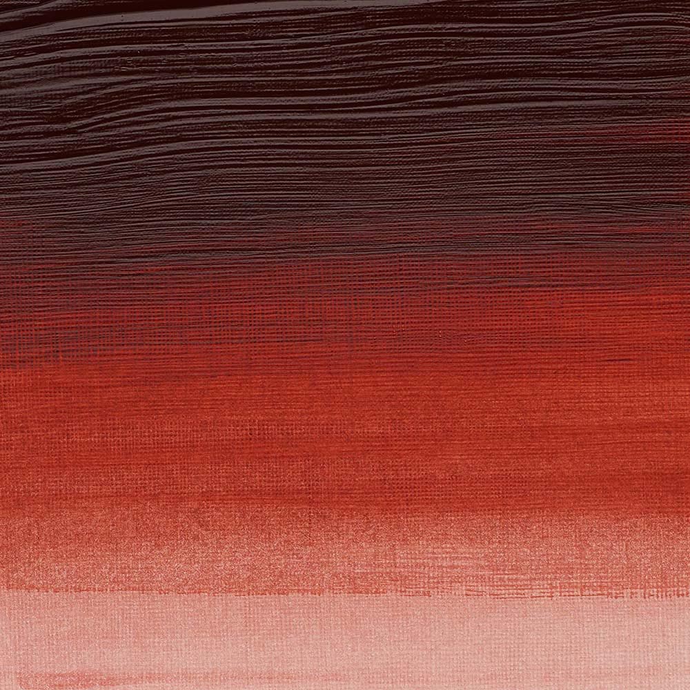 Winsor & Newton Professional Acrylic 60ml Quinacridone Burnt Orange 549 S.4