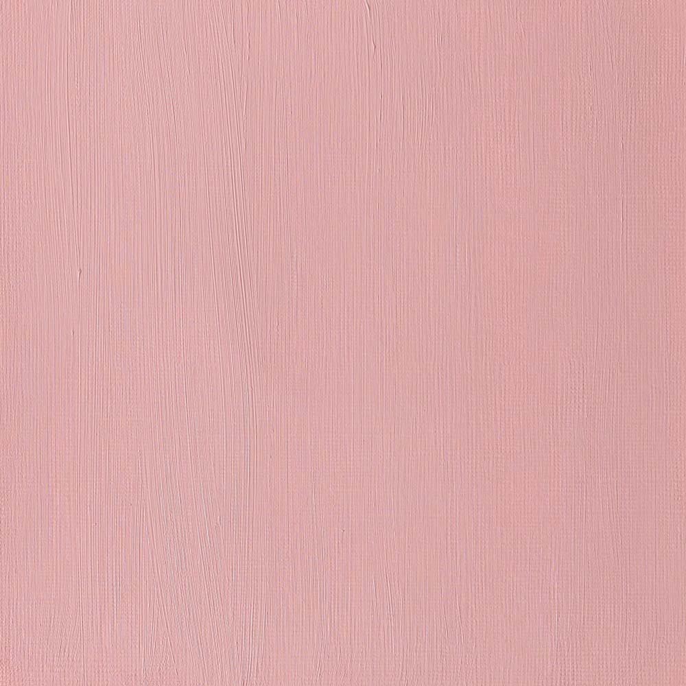 Winsor & Newton Professional Acrylic 60ml Quinacridone Burnt Orange 549 S.4