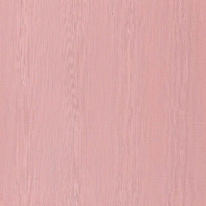 Winsor & Newton Professional Acrylic 60ml Quinacridone Burnt Orange 549 S.4