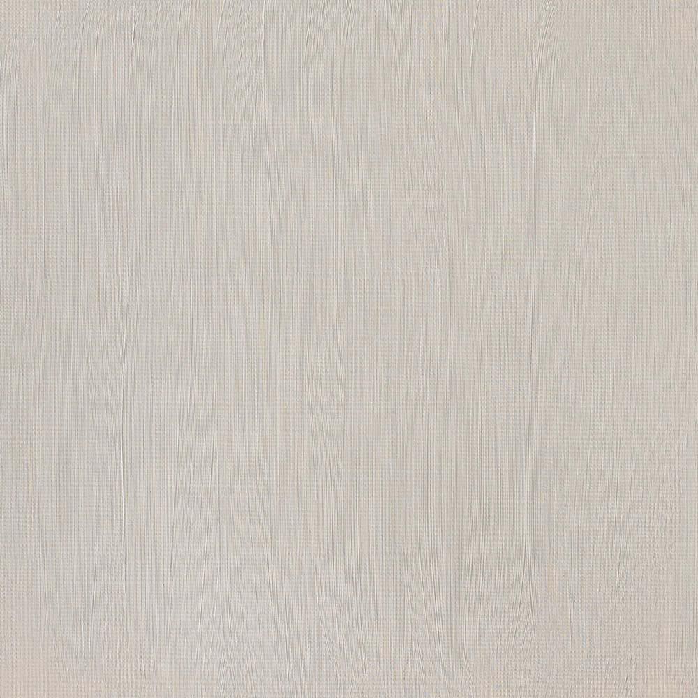 Winsor & Newton Professional Acrylic 60ml Raw Umber 554 S.1