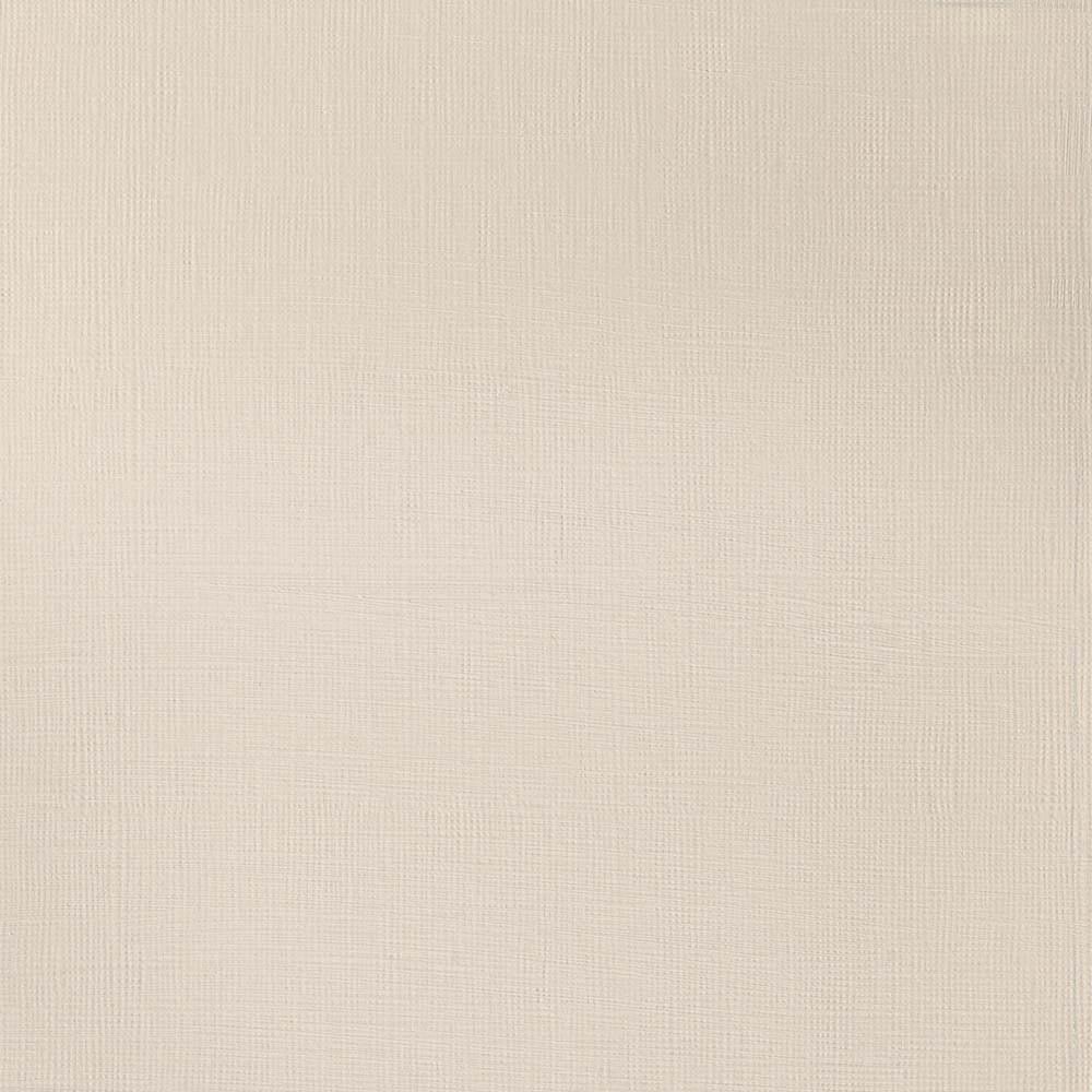 Winsor & Newton Professional Acrylic 60ml Raw Umber Light 557 S.1