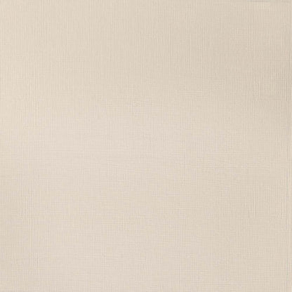 Winsor & Newton Professional Acrylic 60ml Raw Umber Light 557 S.1