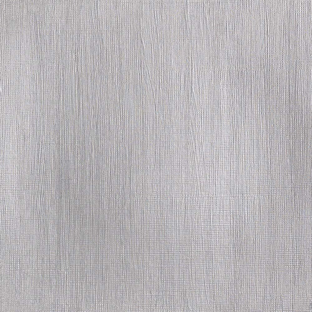 Winsor & Newton Professional Acrylic 60ml Silver No.1 617 S.3