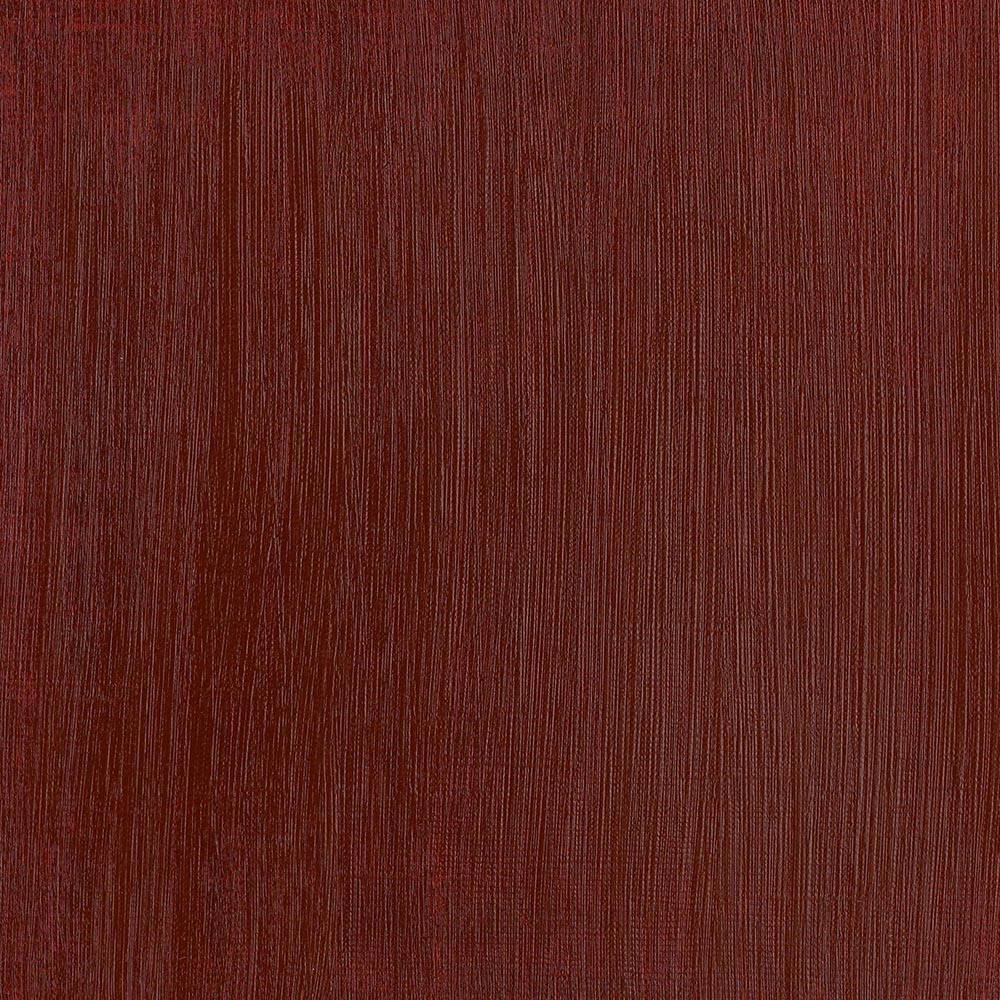 Winsor & Newton Professional Acrylic 200ml Burnt Sienna 074 S.1