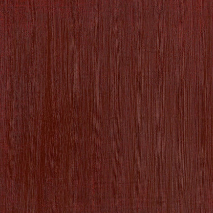 Winsor & Newton Professional Acrylic 200ml Burnt Sienna 074 S.1