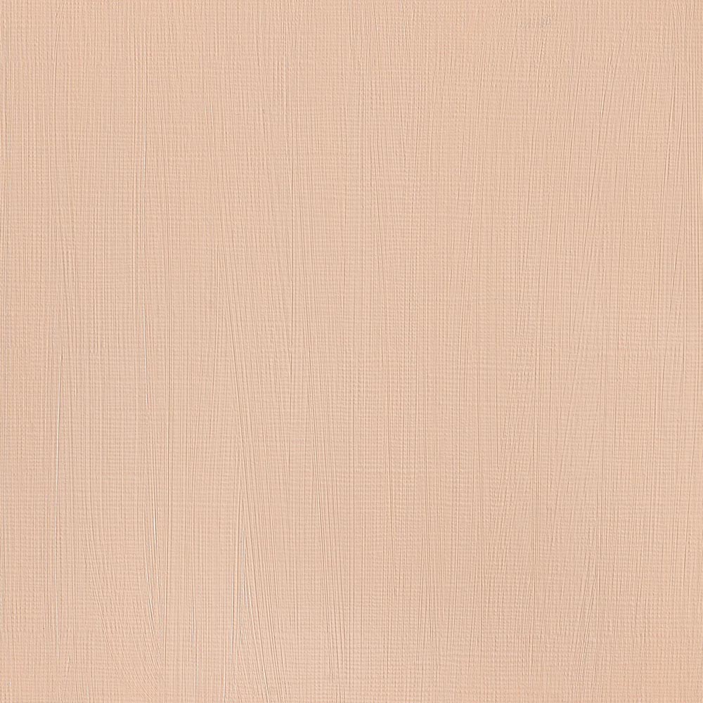 Winsor & Newton Professional Acrylic 200ml Burnt Sienna 074 S.1