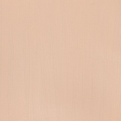 Winsor & Newton Professional Acrylic 200ml Burnt Sienna 074 S.1