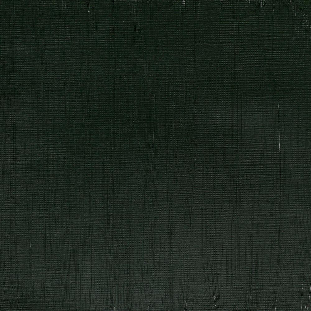 Winsor & Newton Professional Acrylic 200ml Hooker’s Green 311 S.3