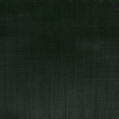Winsor & Newton Professional Acrylic 200ml Hooker’s Green 311 S.3