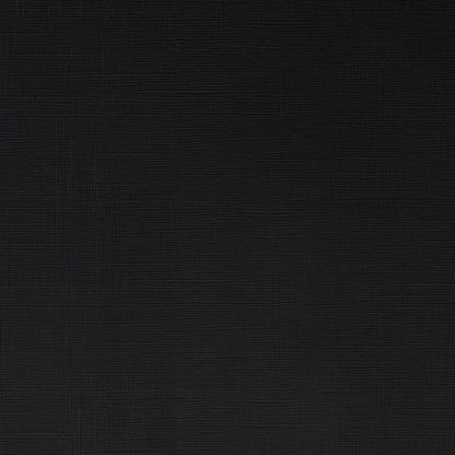 Winsor & Newton Professional Acrylic 200ml Ivory Black 331 S.1