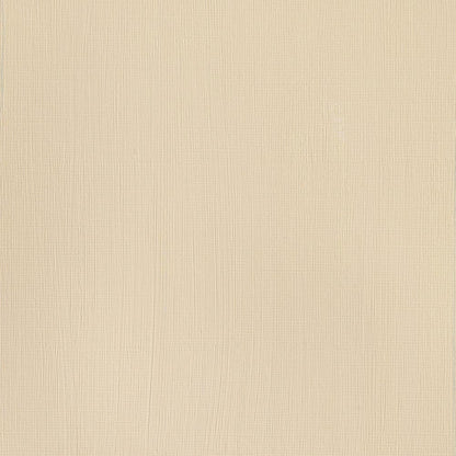 Winsor & Newton Professional Acrylic 200ml Naples Yellow 422 S.2