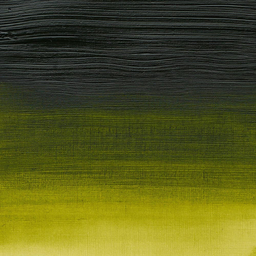 Winsor & Newton Professional Acrylic 200ml Permanent Sap Green 503 S.3