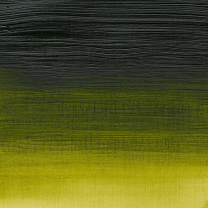 Winsor & Newton Professional Acrylic 200ml Permanent Sap Green 503 S.3