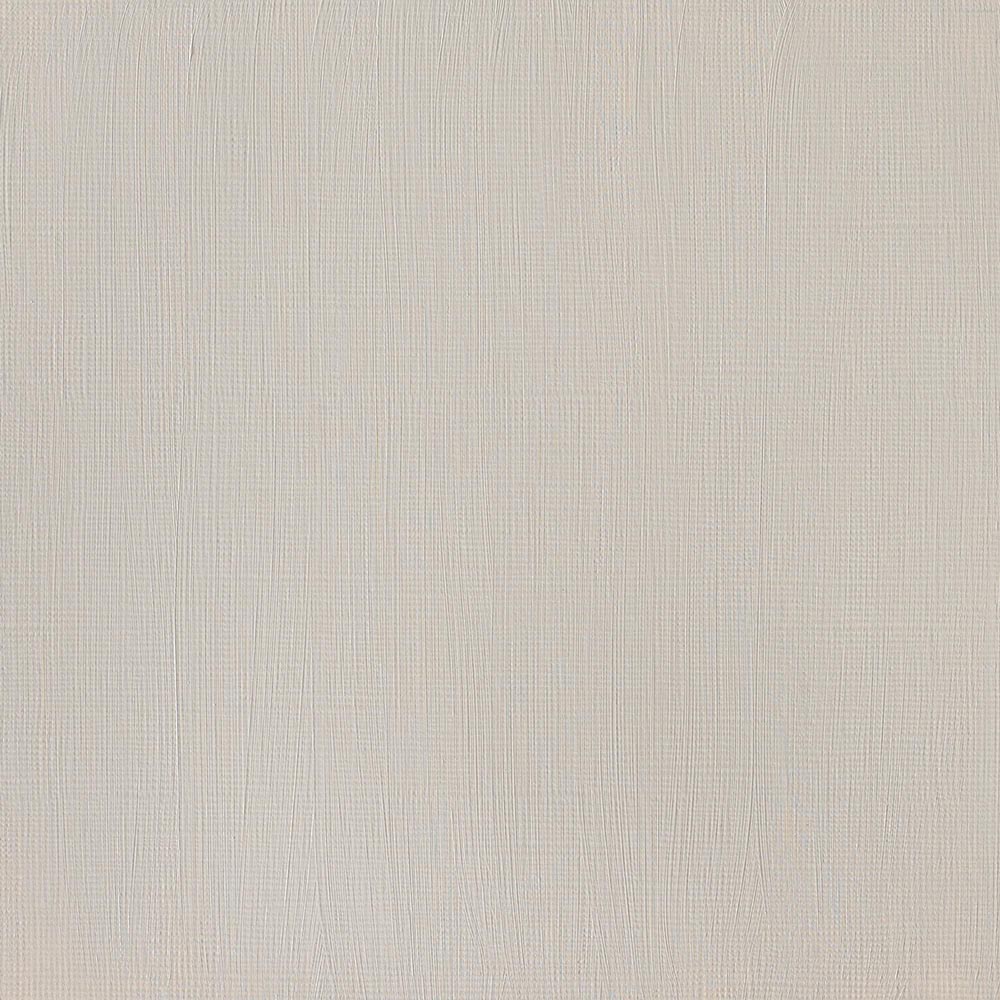 Winsor & Newton Professional Acrylic 200ml Raw Umber 554 S.1