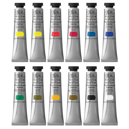 Winsor & Newton Professional Acrylic 12x20ml Set