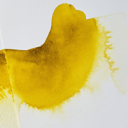 Winsor & Newton Ox Gall Liquid (Öküz Ödü) 75ml