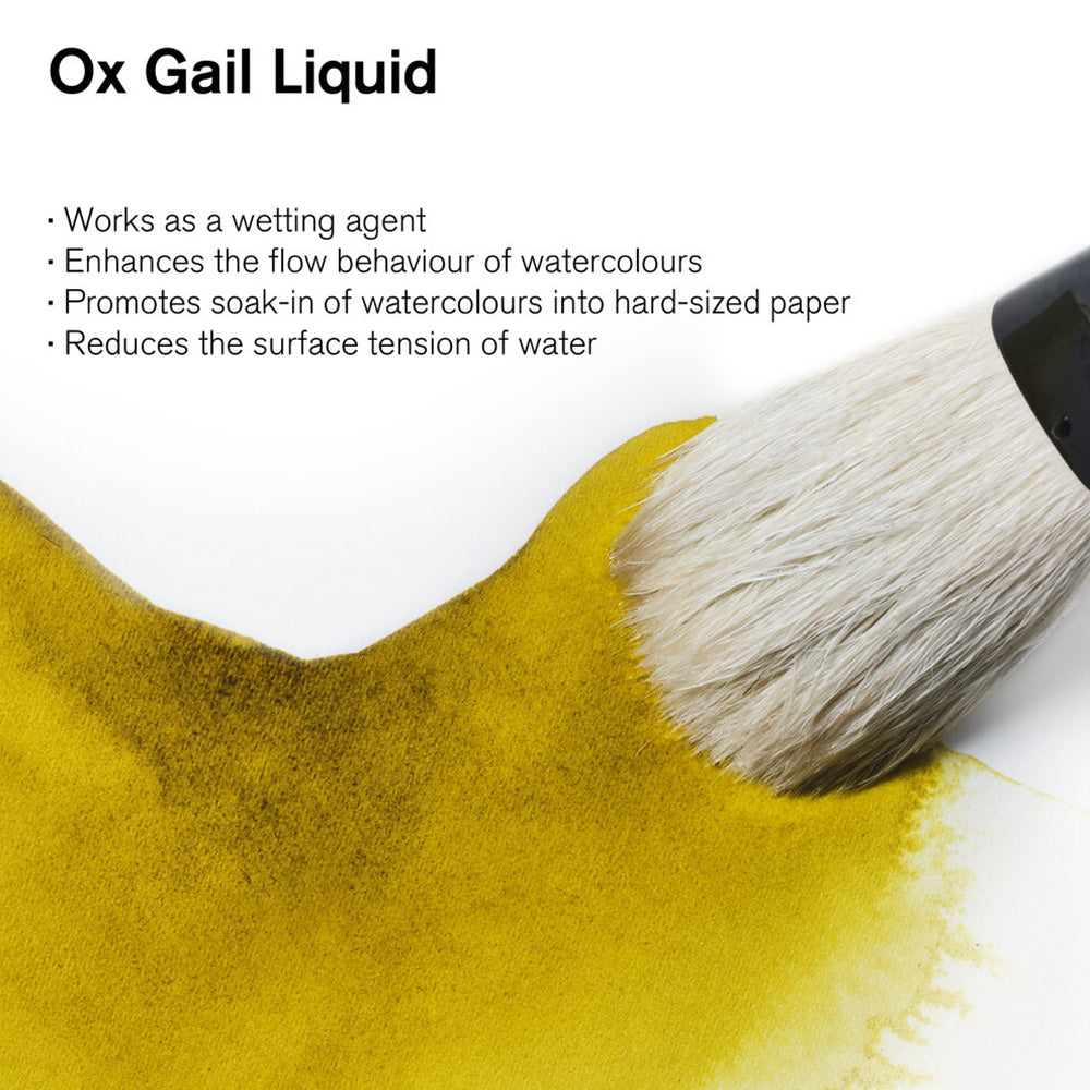 Winsor & Newton Ox Gall Liquid (Öküz Ödü) 75ml