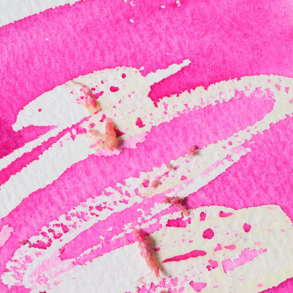 Winsor & Newton Art Masking Fluid (Maskeleme Sıvısı) 250ml